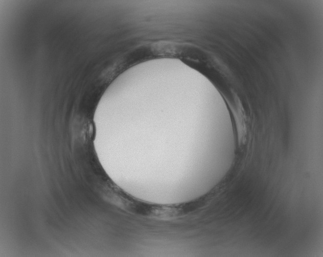 X0000080780125200701122132