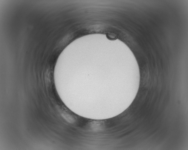 X0000080780126200701122132