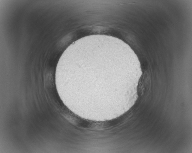 X0000080780127200701122131