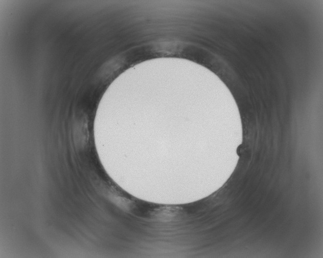 X0000080780128200701122131