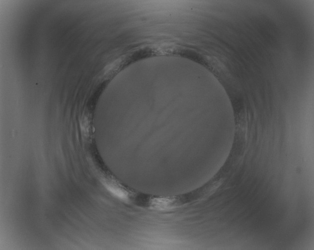 X0000080780139200701122131