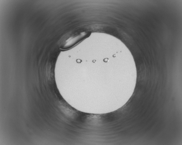 X0000080780140200701122131