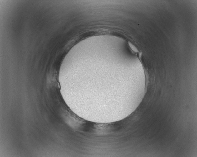 X0000080780141200701122131