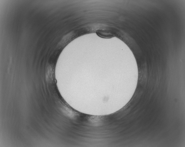 X0000080780142200701122131