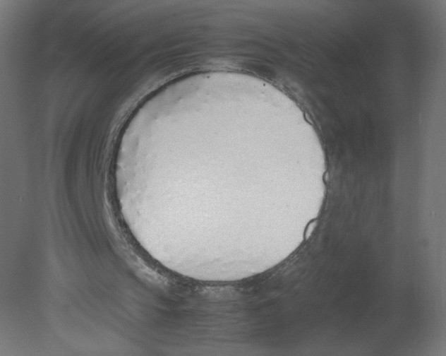 X0000080780145200701122130