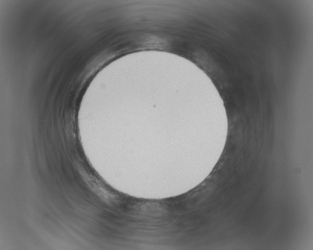 X0000080780146200701122130