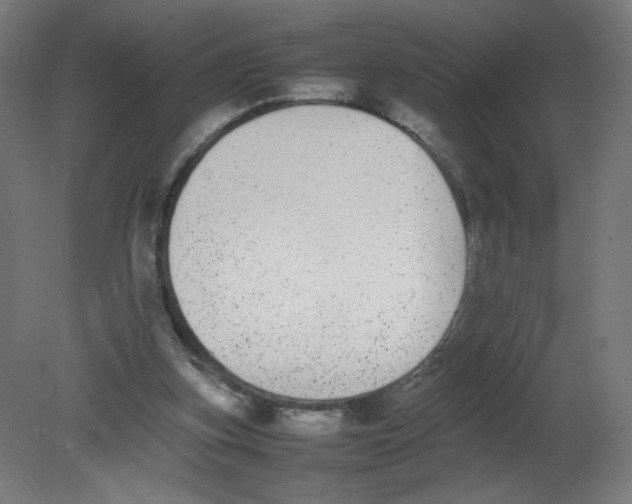 X0000080780155200701122131