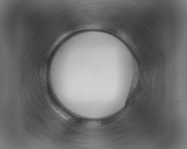 X0000080780156200701122131