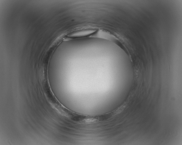 X0000080780158200701122131