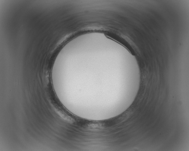 X0000080780160200701122131