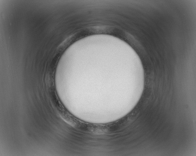 X0000080780165200701122131