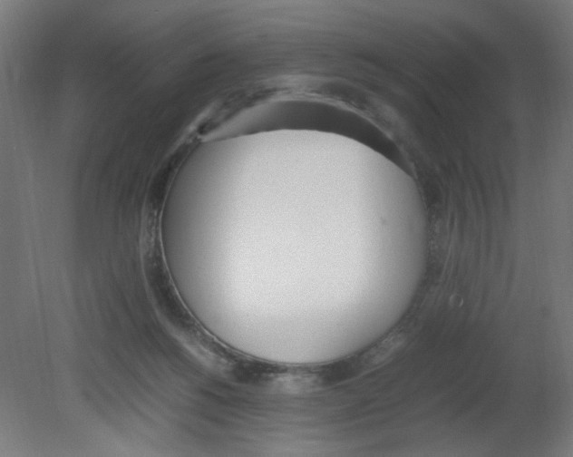 X0000080780168200701122131