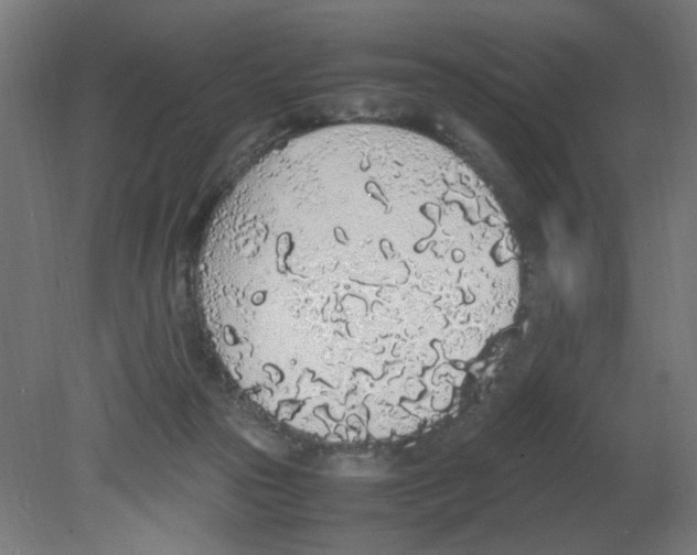 X0000080780169200701122131