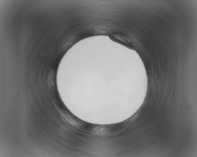 X0000080780174200701122131