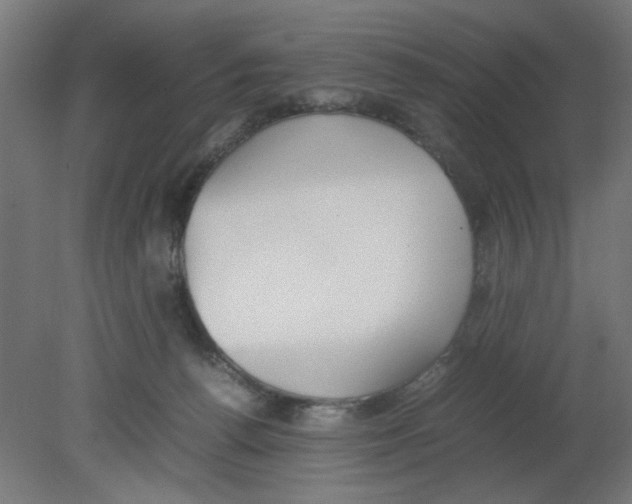 X0000080780176200701122131