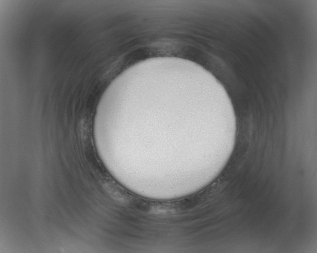 X0000080780177200701122131