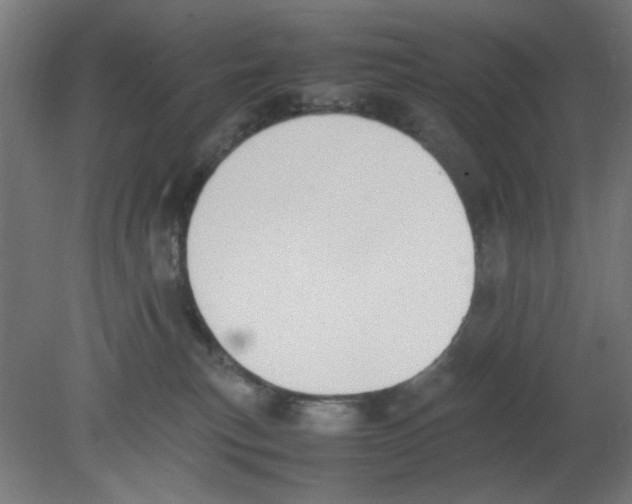 X0000080780183200701122131