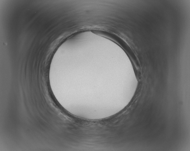 X0000080780193200701122130
