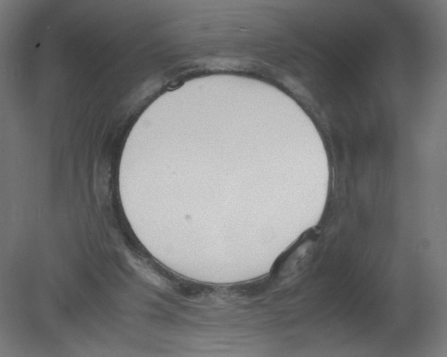 X0000080780201200701122130