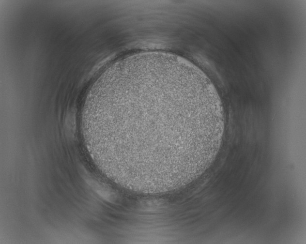 X0000080780202200701122130