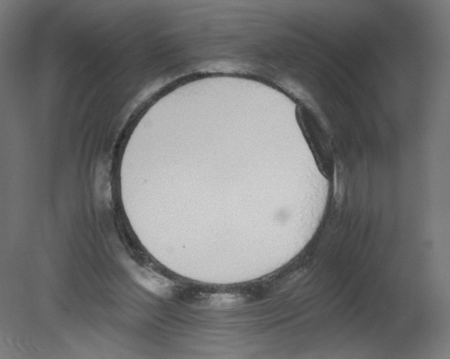 X0000080780204200701122130
