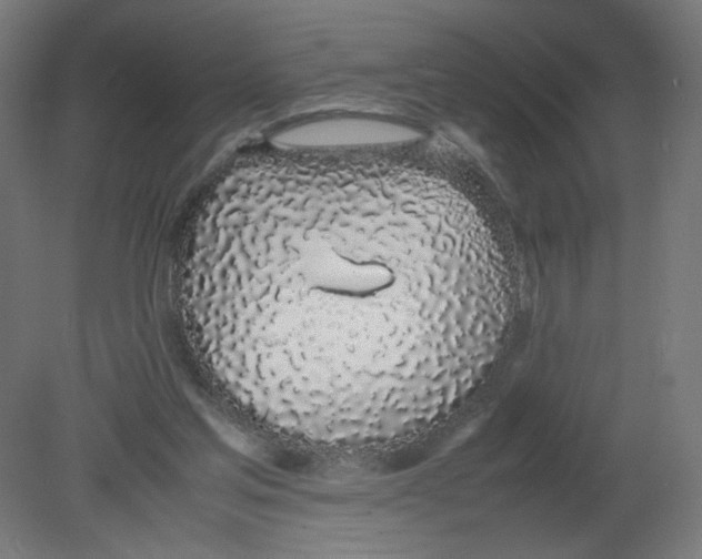 X0000080780205200701122130