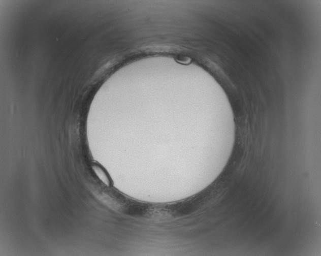 X0000080780207200701122130