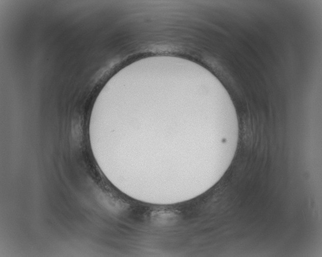 X0000080780208200701122130