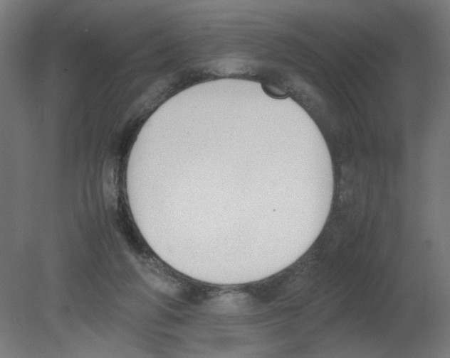 X0000080780210200701122130