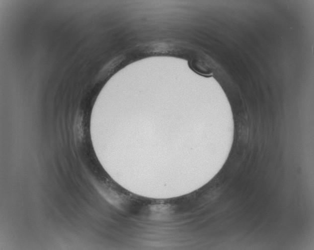 X0000080780216200701122130