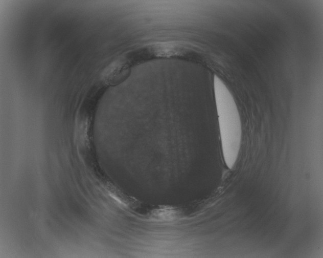 X0000080780219200701122130
