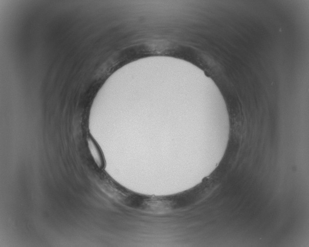 X0000080780221200701122130