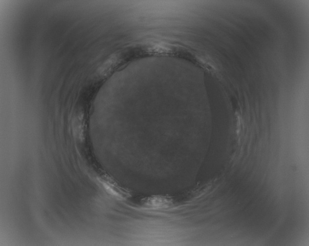 X0000080780223200701122130