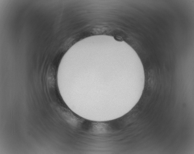 X0000080780226200701122130