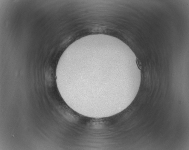 X0000080780228200701122130
