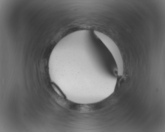 X0000080780229200701122130