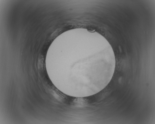 X0000080780231200701122130