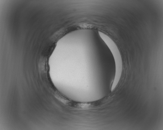 X0000080780233200701122130