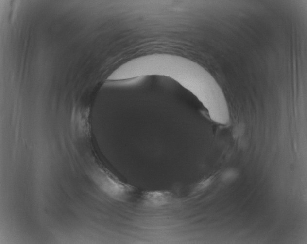 X0000080780239200701122130