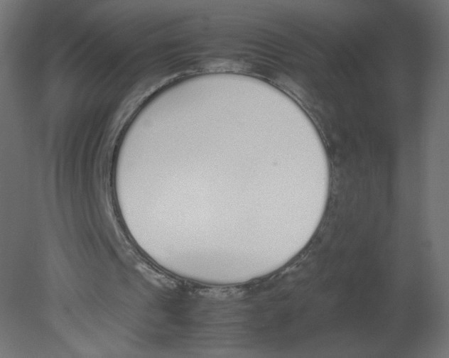 X0000080780241200701122129