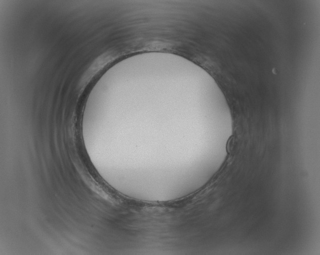 X0000080780242200701122129