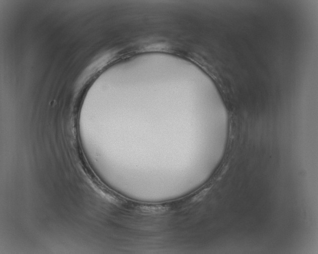 X0000080780245200701122129