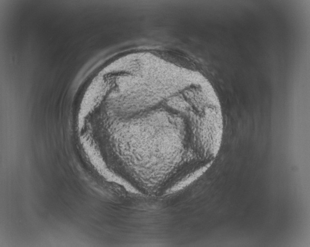 X0000080780247200701122129