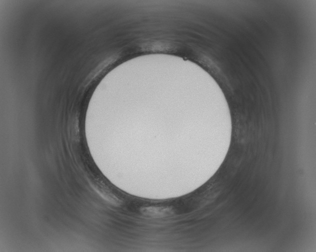 X0000080780251200701122129