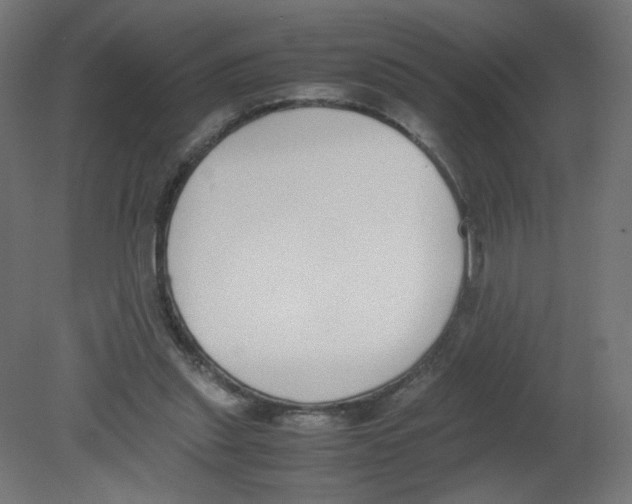 X0000080780253200701122129