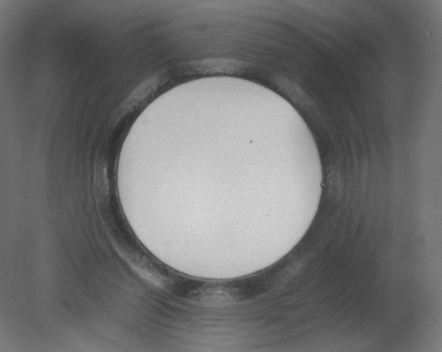 X0000080780254200701122129