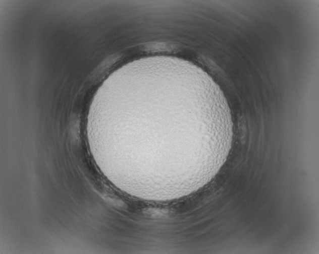 X0000080780255200701122129