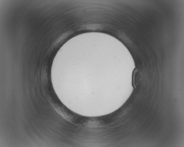 X0000080780256200701122129