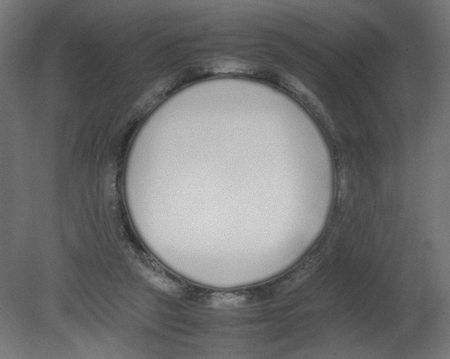 X0000080780257200701122129