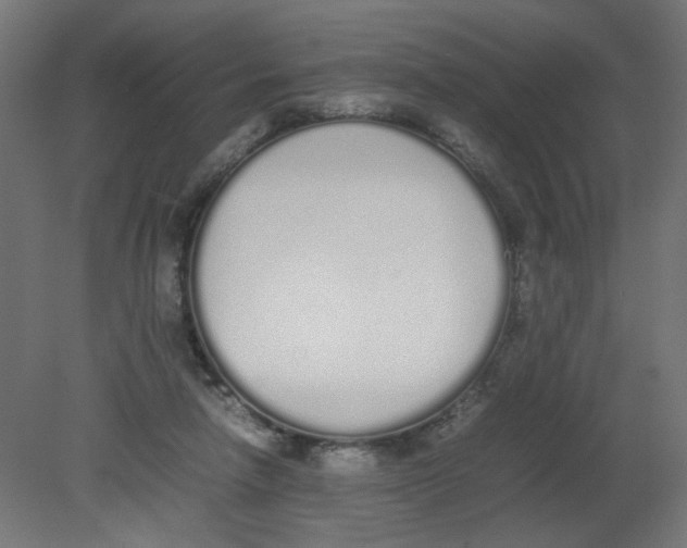 X0000080780258200701122129